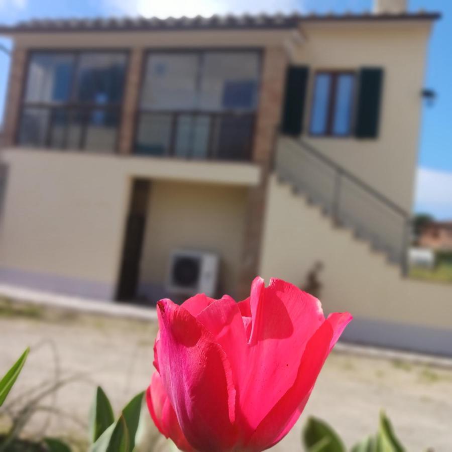Villa Casa Di Zio à Monticiano Extérieur photo