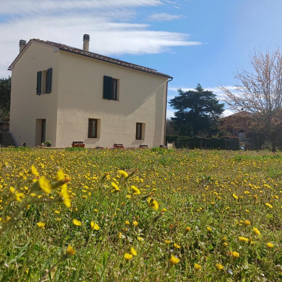 Villa Casa Di Zio à Monticiano Extérieur photo
